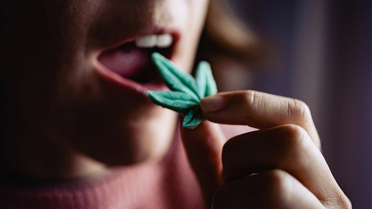 Frequent Marijuana Use Linked to Higher Stress Hormone Levels
